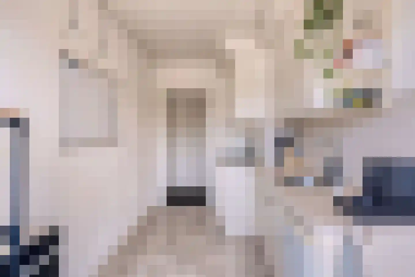 Ooftmengersdreef 25 C Maastricht thumbnail 17