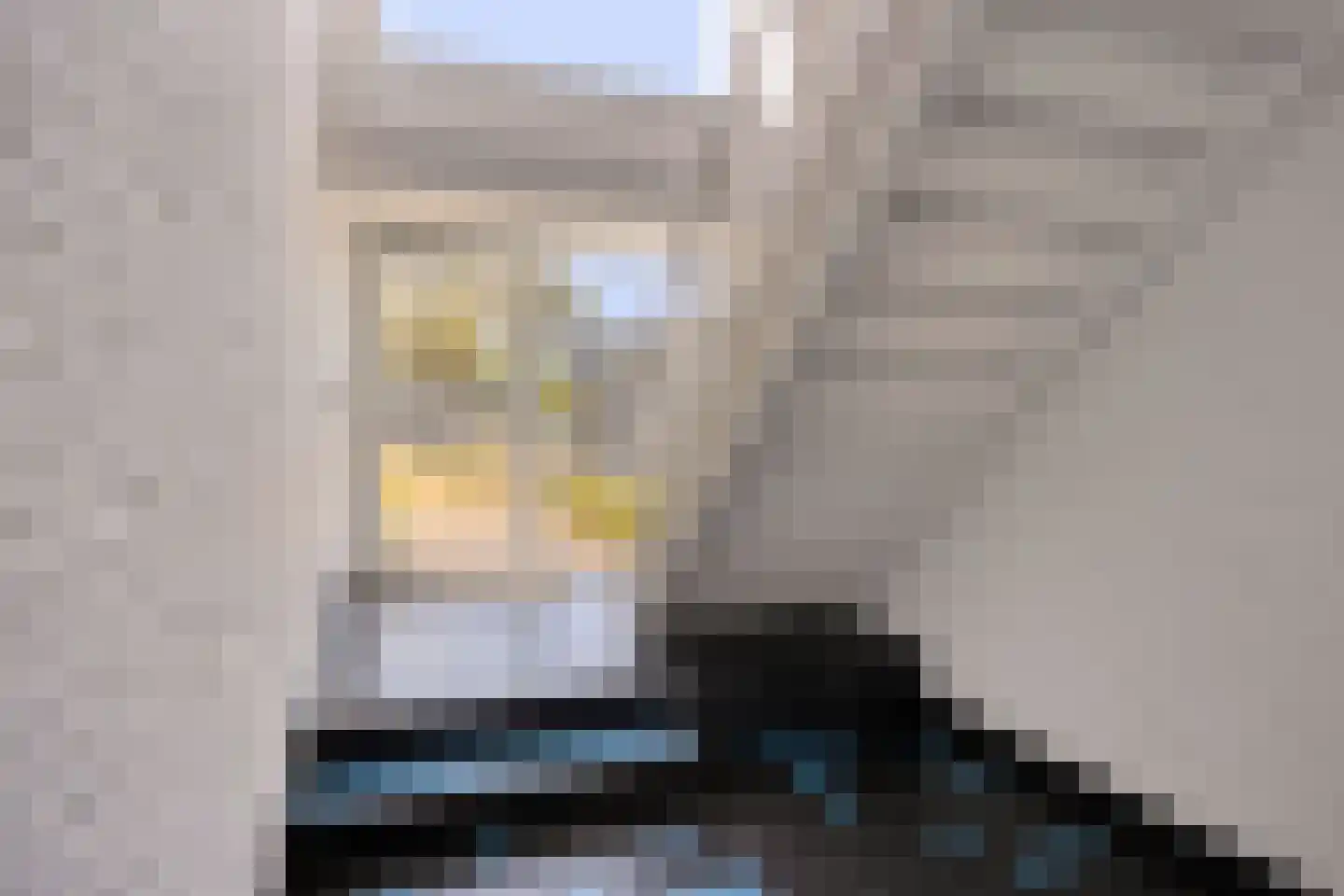 Ooftmengersdreef 25 C Maastricht thumbnail 7