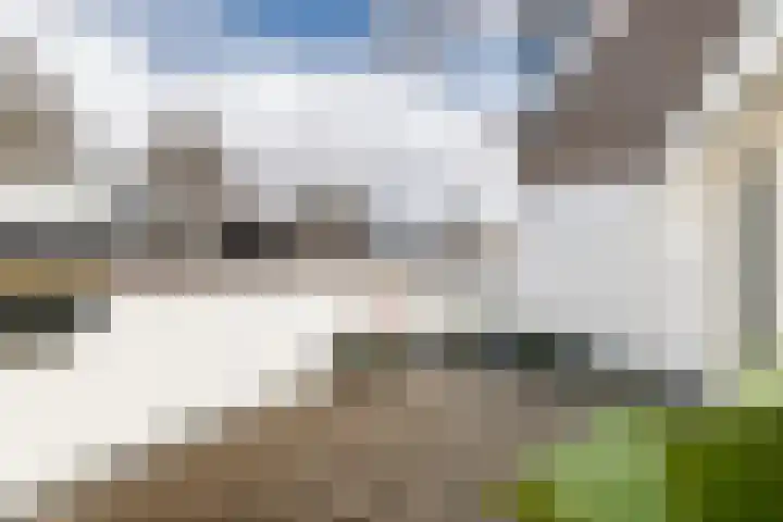Ooftstraat 11 Utrecht thumbnail 39