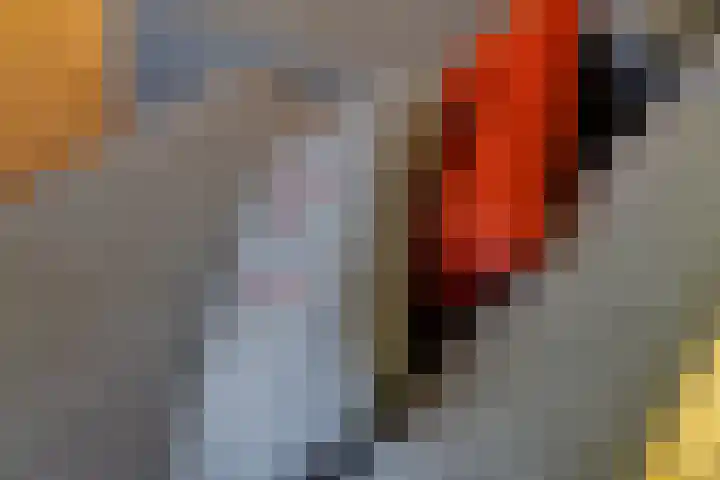 Ooftstraat 11 Utrecht thumbnail 5