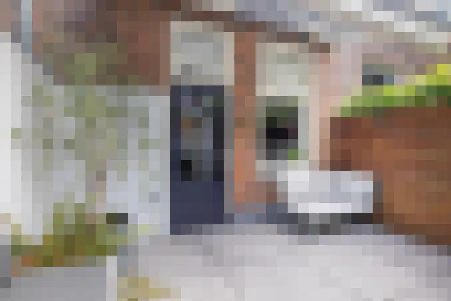 Ooftstraat 14 Utrecht thumbnail 18