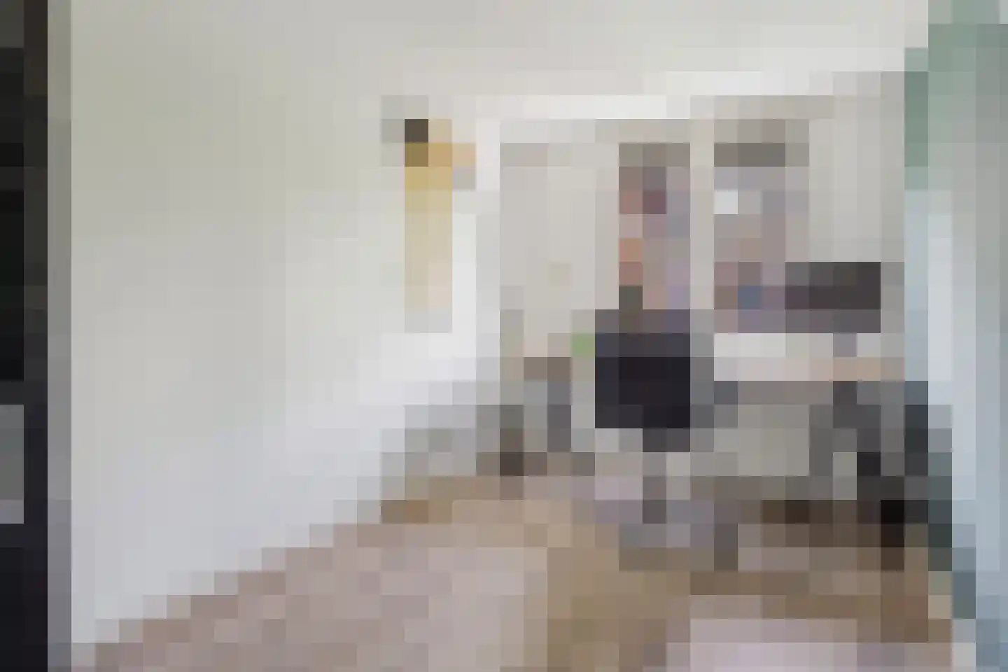 Ooftstraat 14 Utrecht thumbnail 19