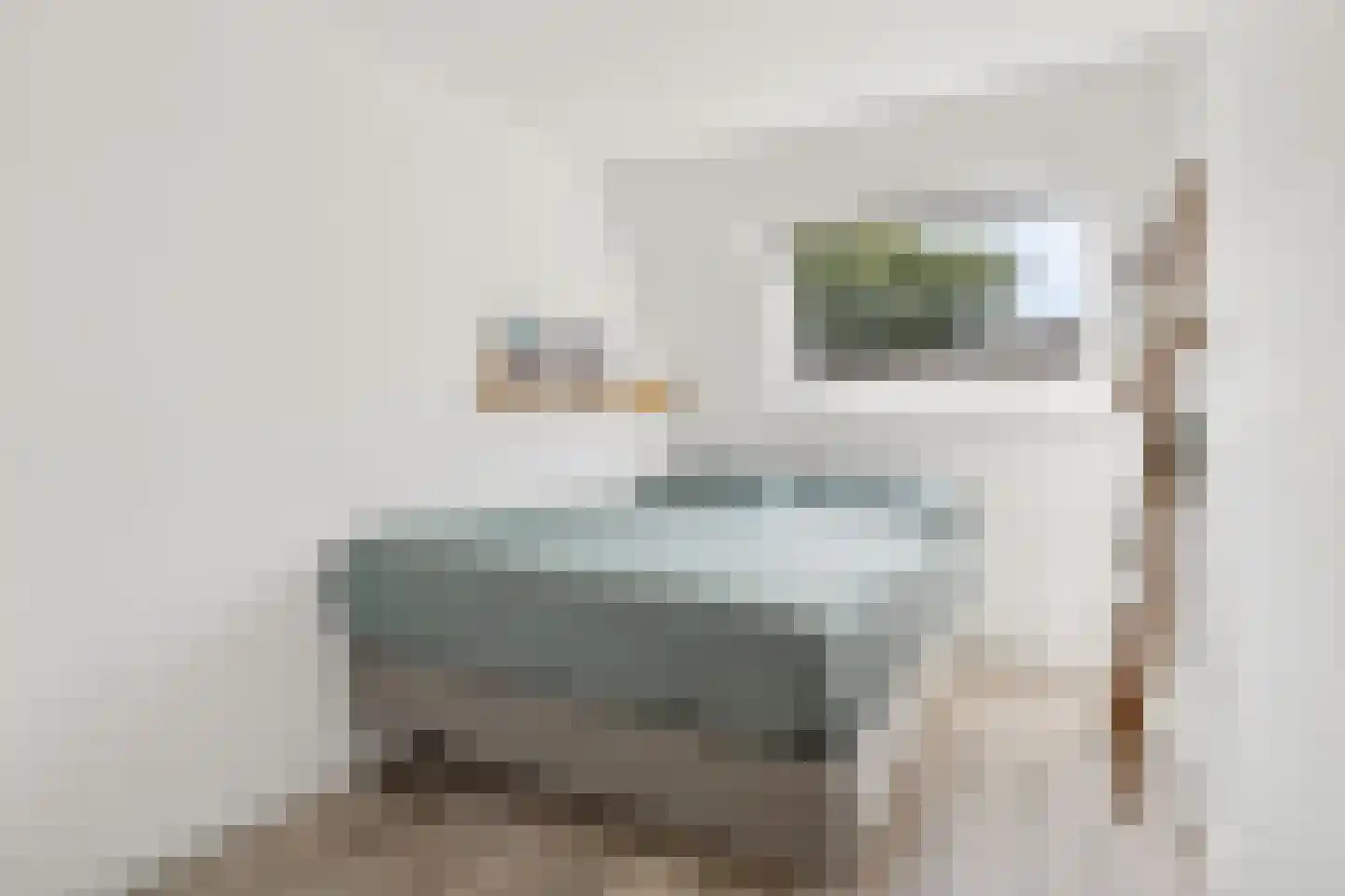 Ooftstraat 14 Utrecht thumbnail 24