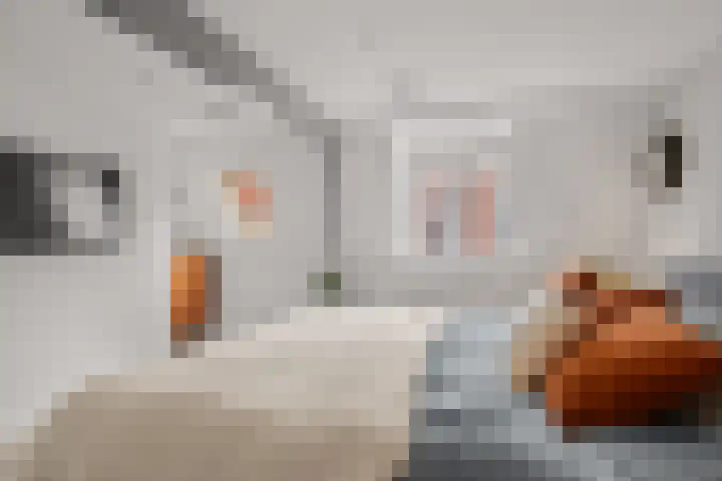 Ooftstraat 14 Utrecht thumbnail 32