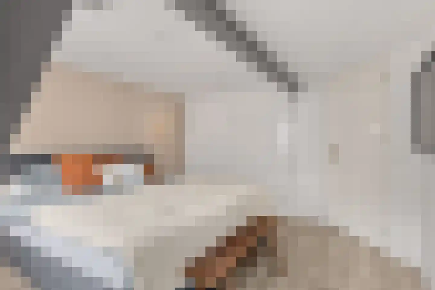 Ooftstraat 14 Utrecht thumbnail 33