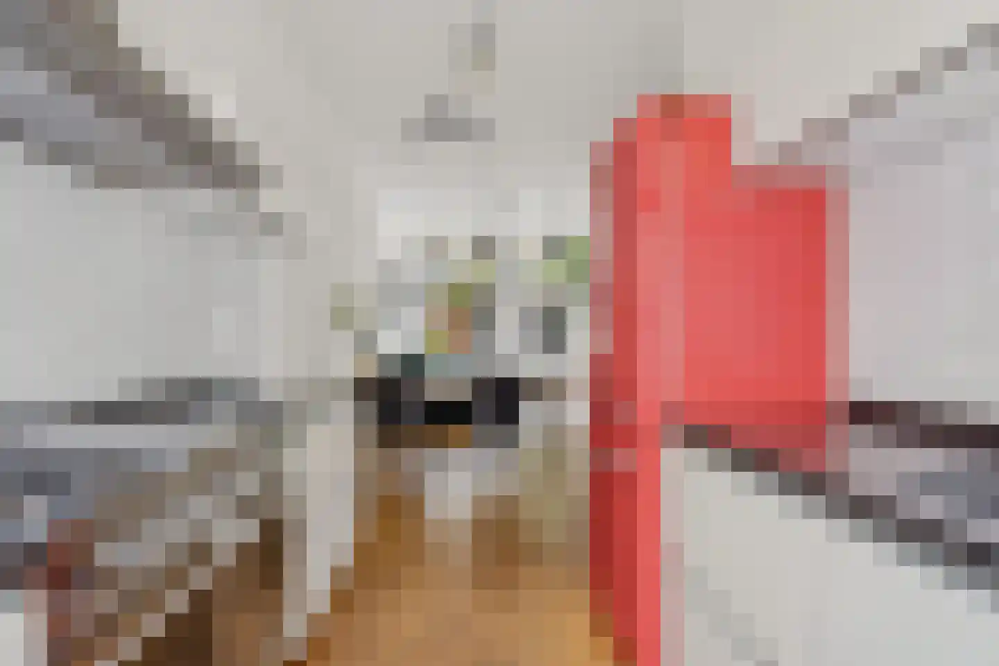 Ooftstraat 14 Utrecht thumbnail 7