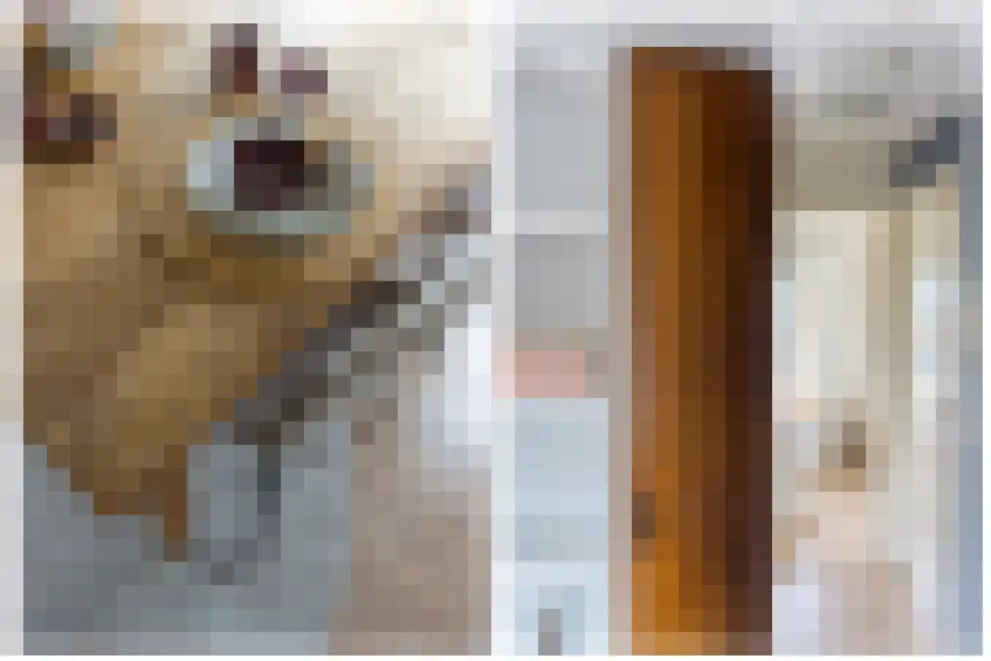 Ooftstraat 15 B Utrecht thumbnail 11