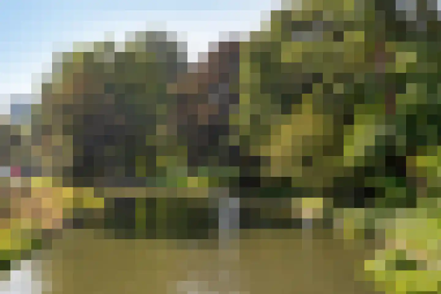 Ooftstraat 17 Utrecht thumbnail 26