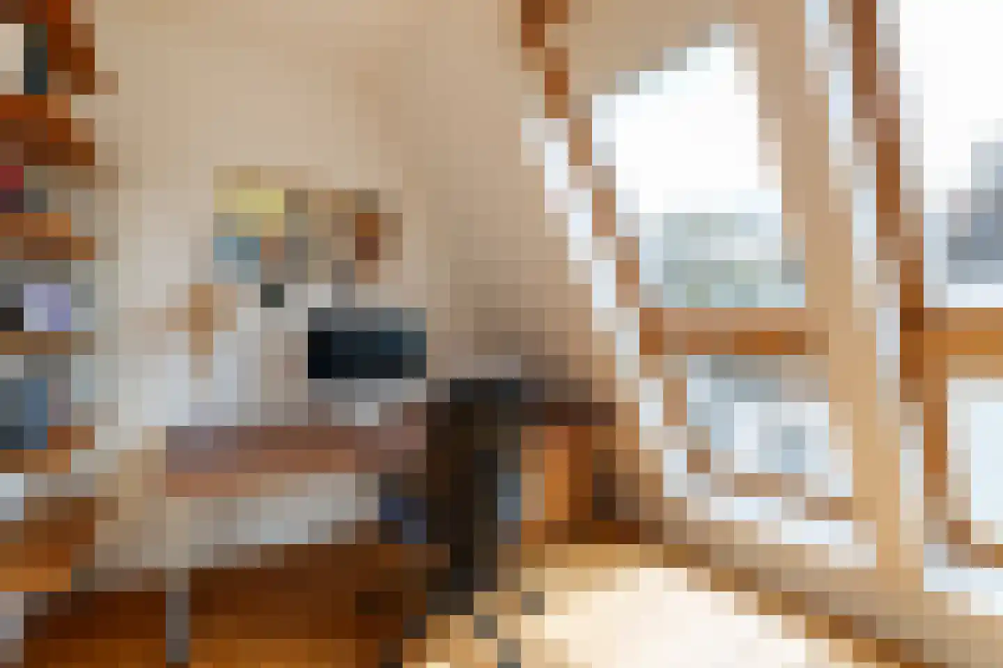 Ooftstraat 18 Utrecht thumbnail 37