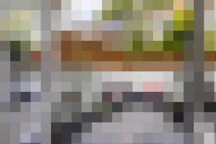 Ooftstraat 25 Utrecht thumbnail 21