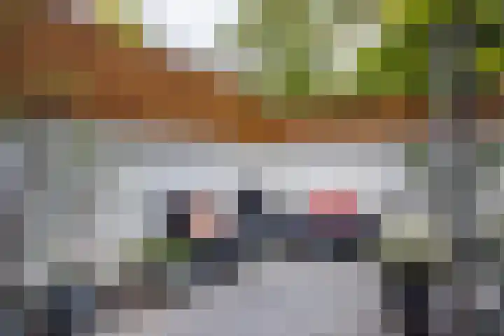 Ooftstraat 25 Utrecht thumbnail 22