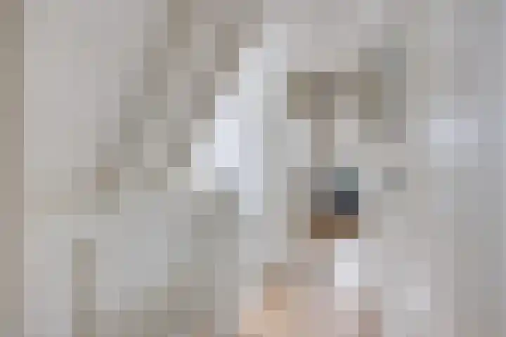Ooftstraat 25 Utrecht thumbnail 36