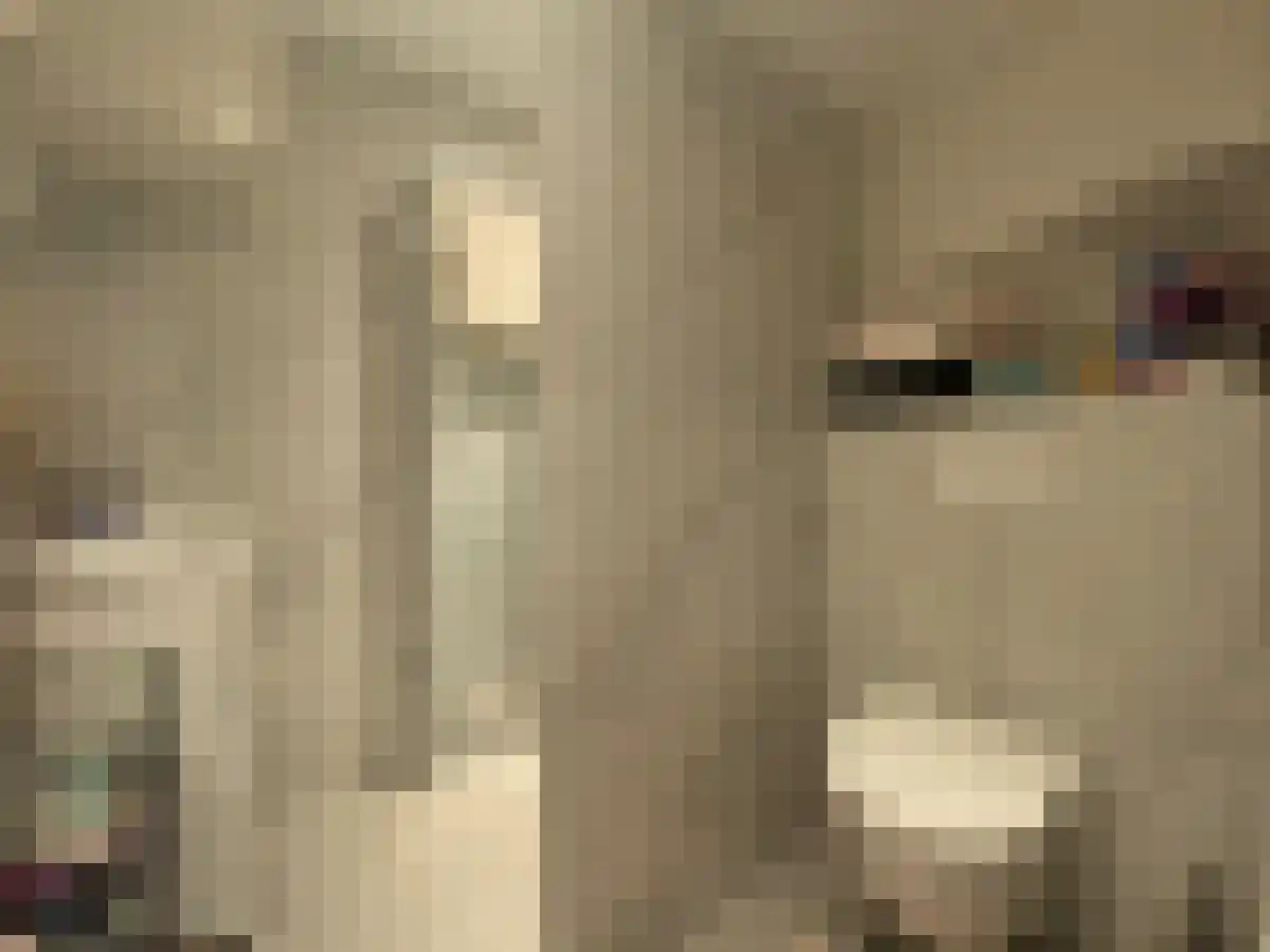 Oog in 't Zeilstraat 48 Den Haag thumbnail 4