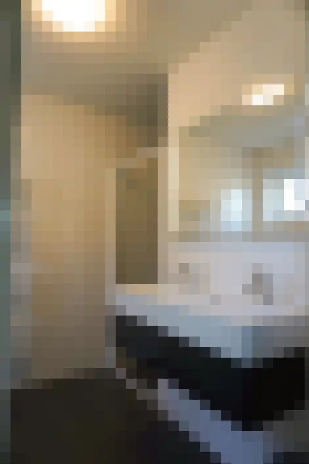 Ooghduyne 114 Julianadorp thumbnail 15