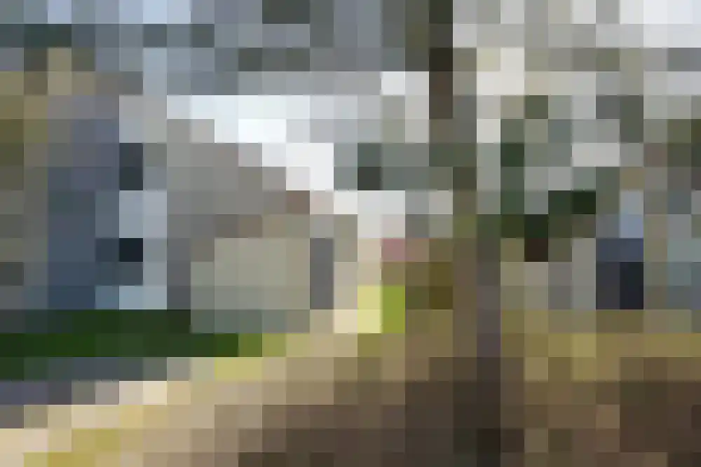 Ooghduyne 114 Julianadorp thumbnail 25