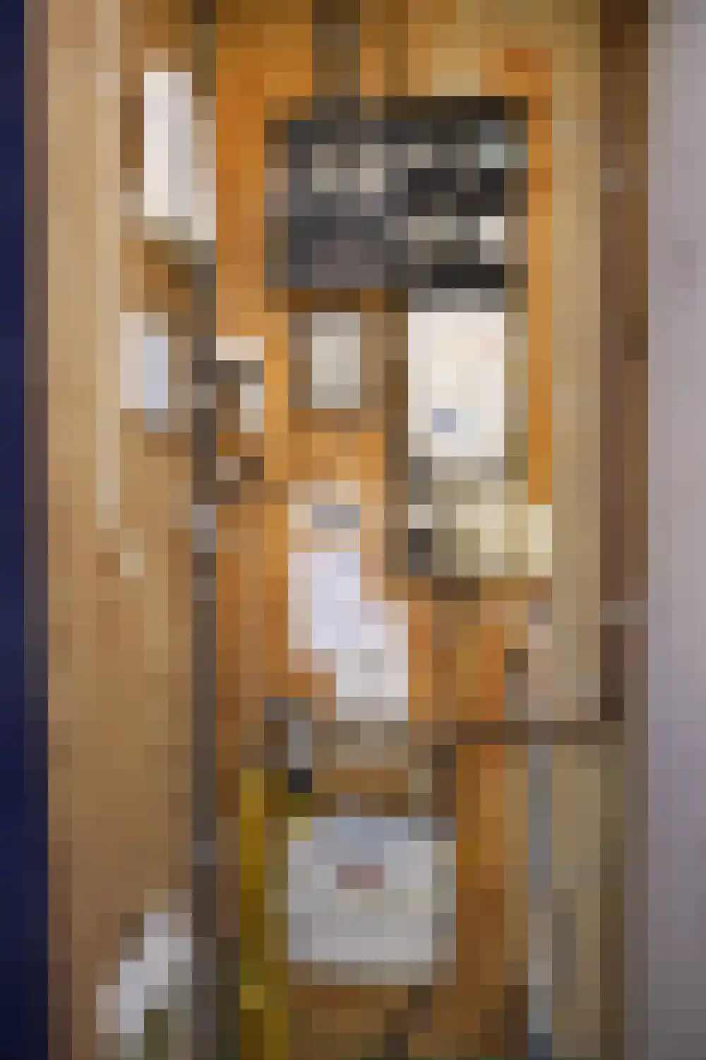 Ooghduyne 114 Julianadorp thumbnail 31