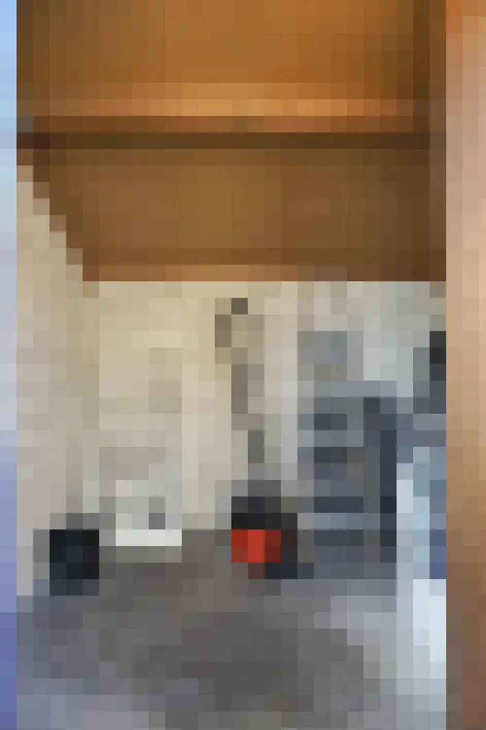 Ooghduyne 114 Julianadorp thumbnail 32