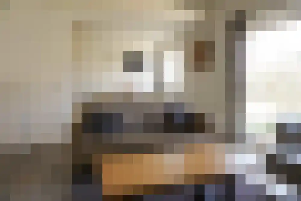Ooghduyne 114 Julianadorp thumbnail 6