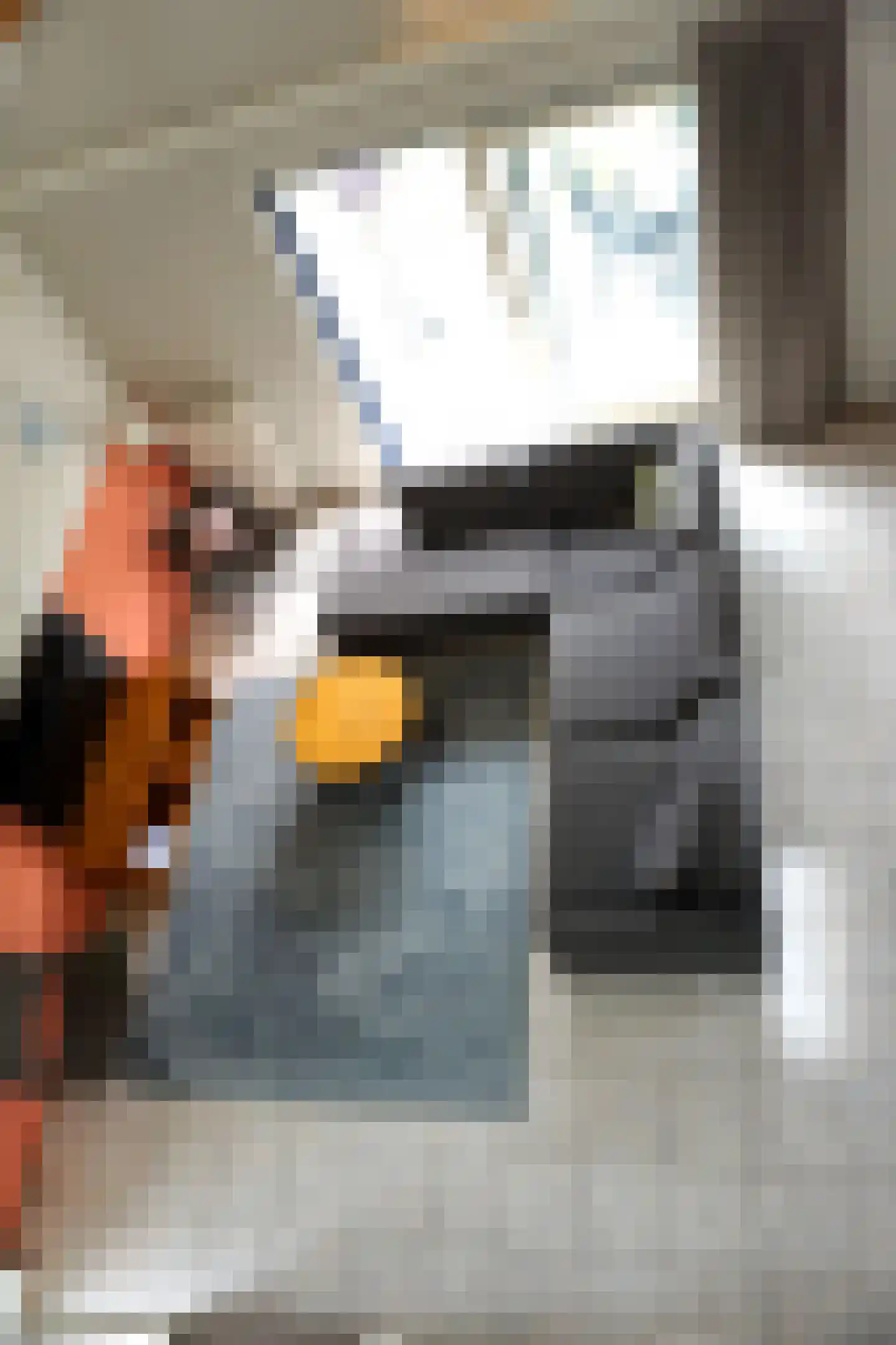 Ooghduyne 117 Julianadorp thumbnail 13
