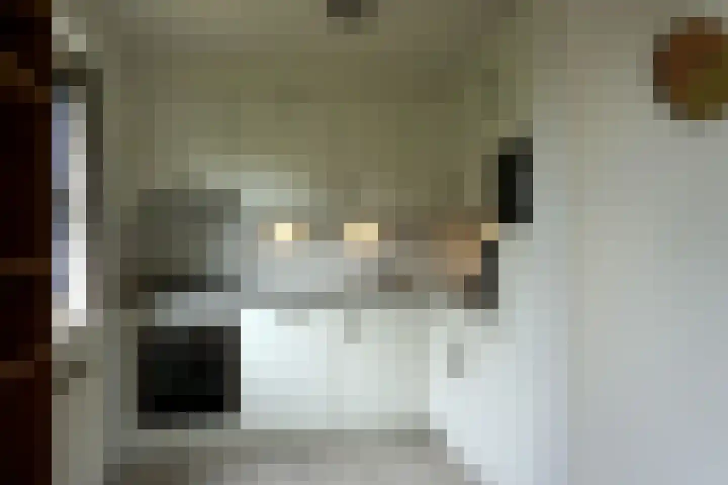 Ooghduyne 117 Julianadorp thumbnail 14