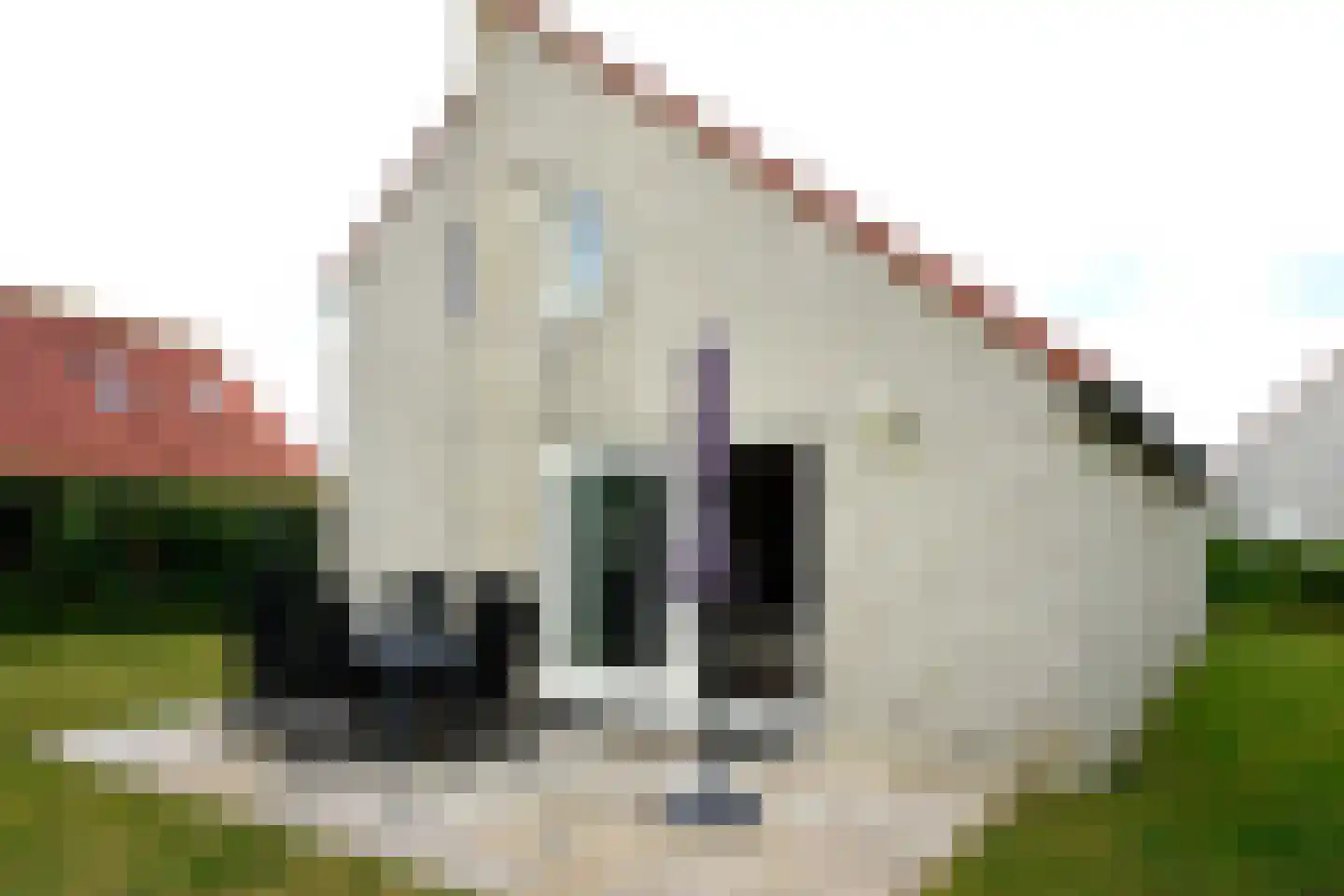 Ooghduyne 117 Julianadorp thumbnail 29