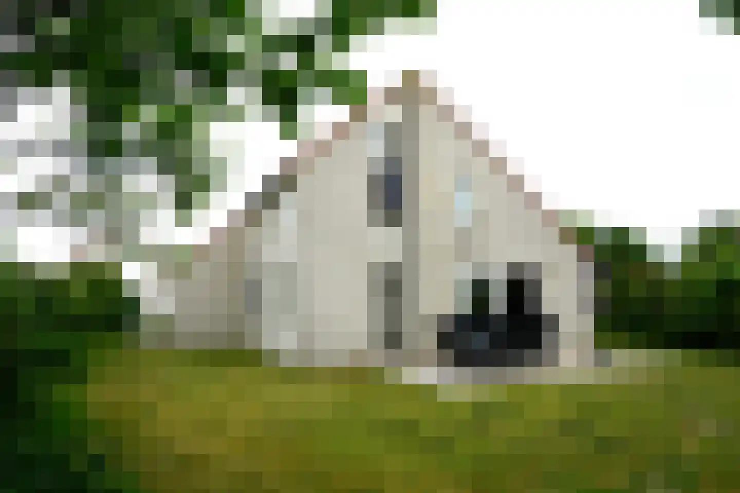 Ooghduyne 117 Julianadorp thumbnail 30