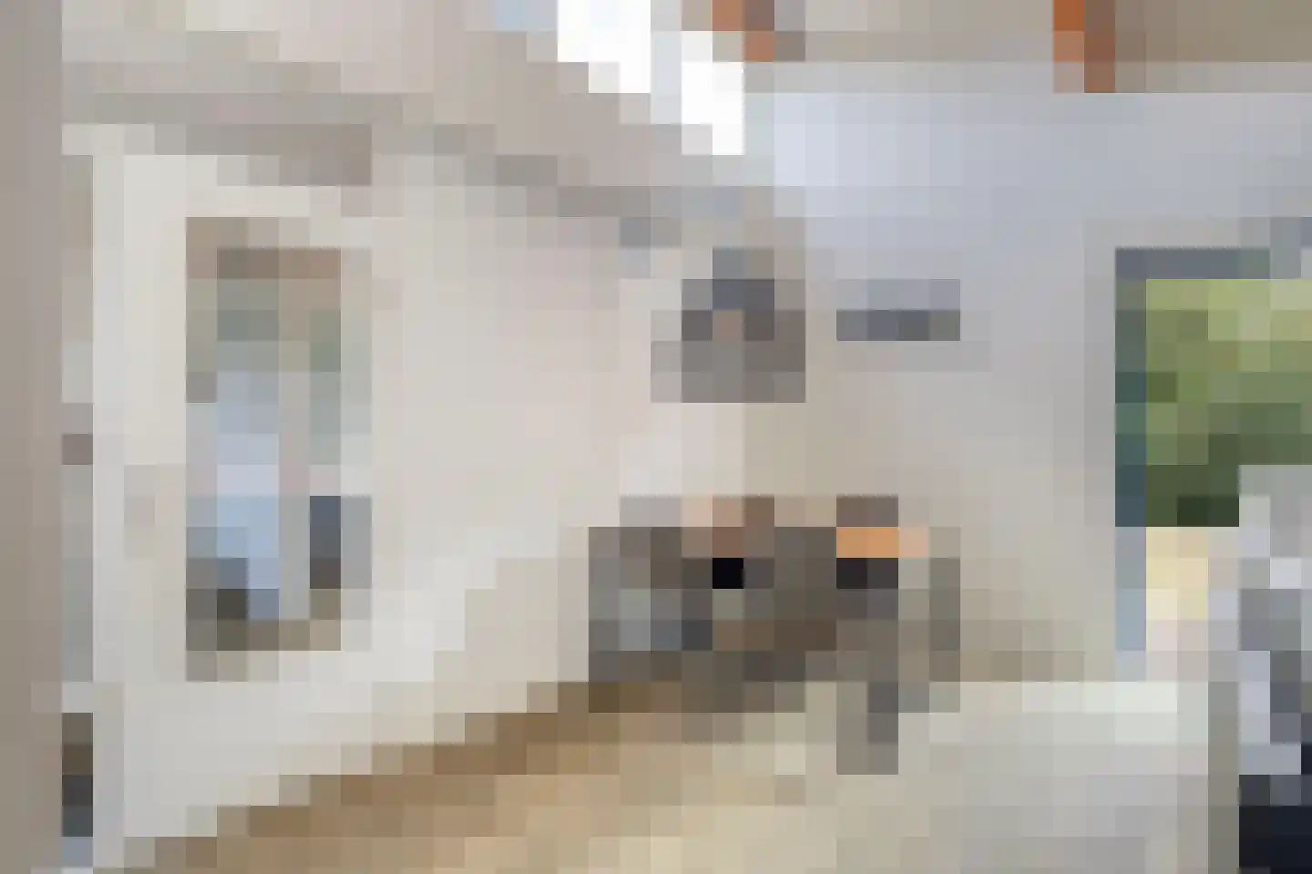 Ooghduyne 119 Julianadorp thumbnail 10