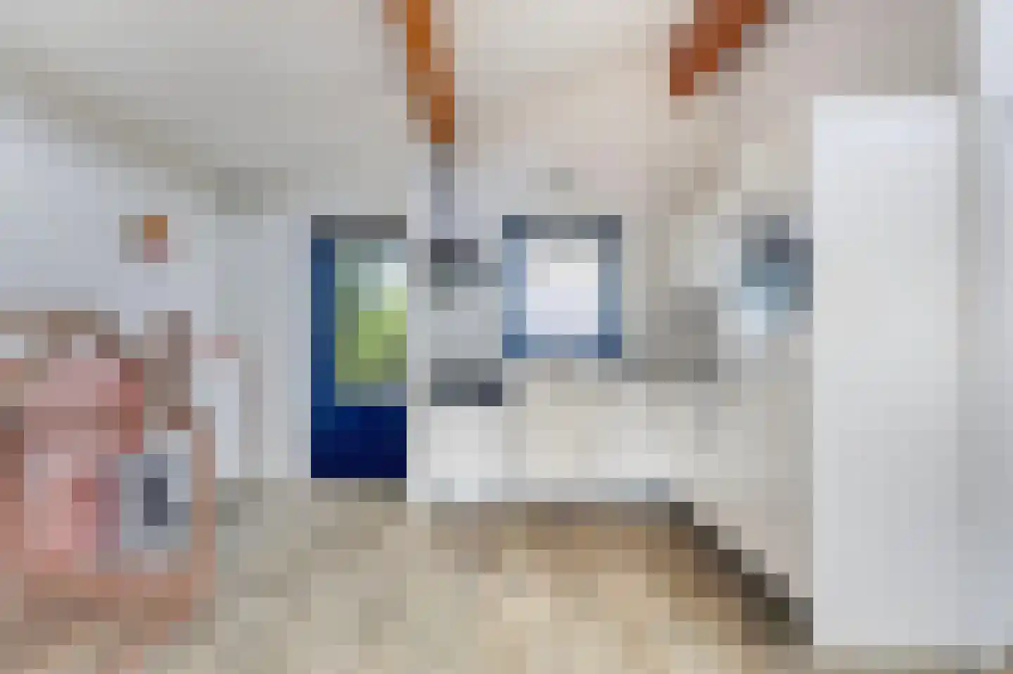 Ooghduyne 119 Julianadorp thumbnail 12