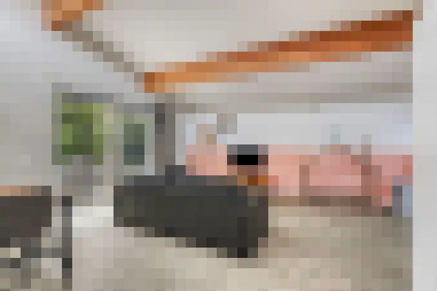 Ooghduyne 119 Julianadorp thumbnail 4