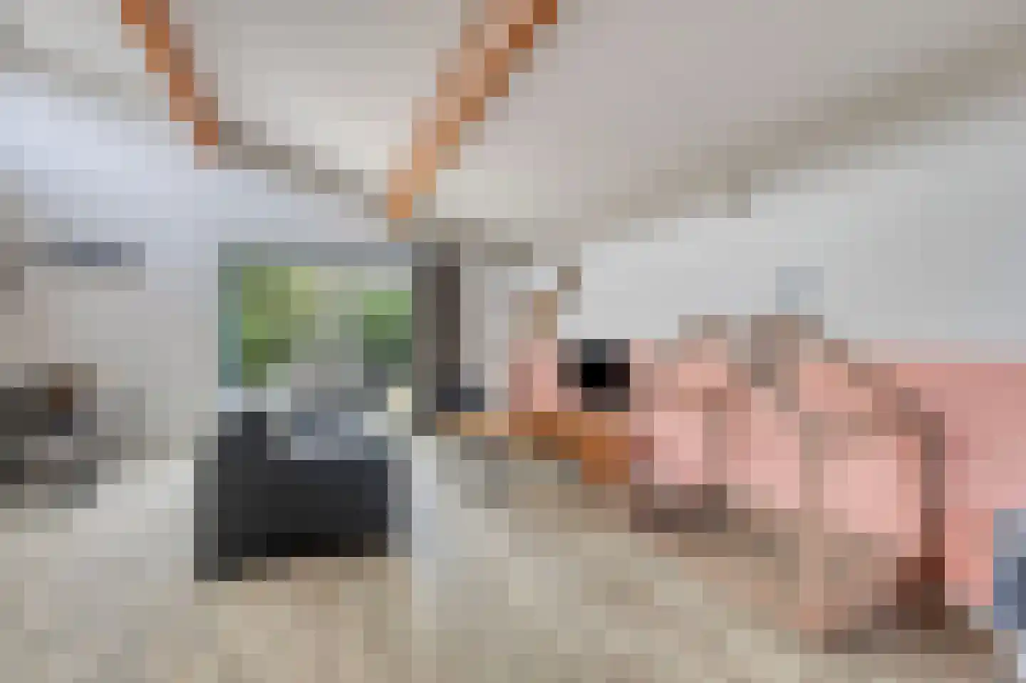 Ooghduyne 119 Julianadorp thumbnail 5