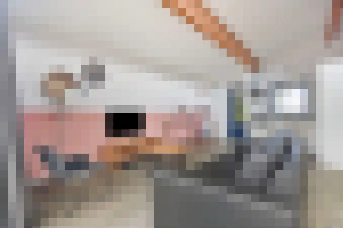 Ooghduyne 119 Julianadorp thumbnail 6