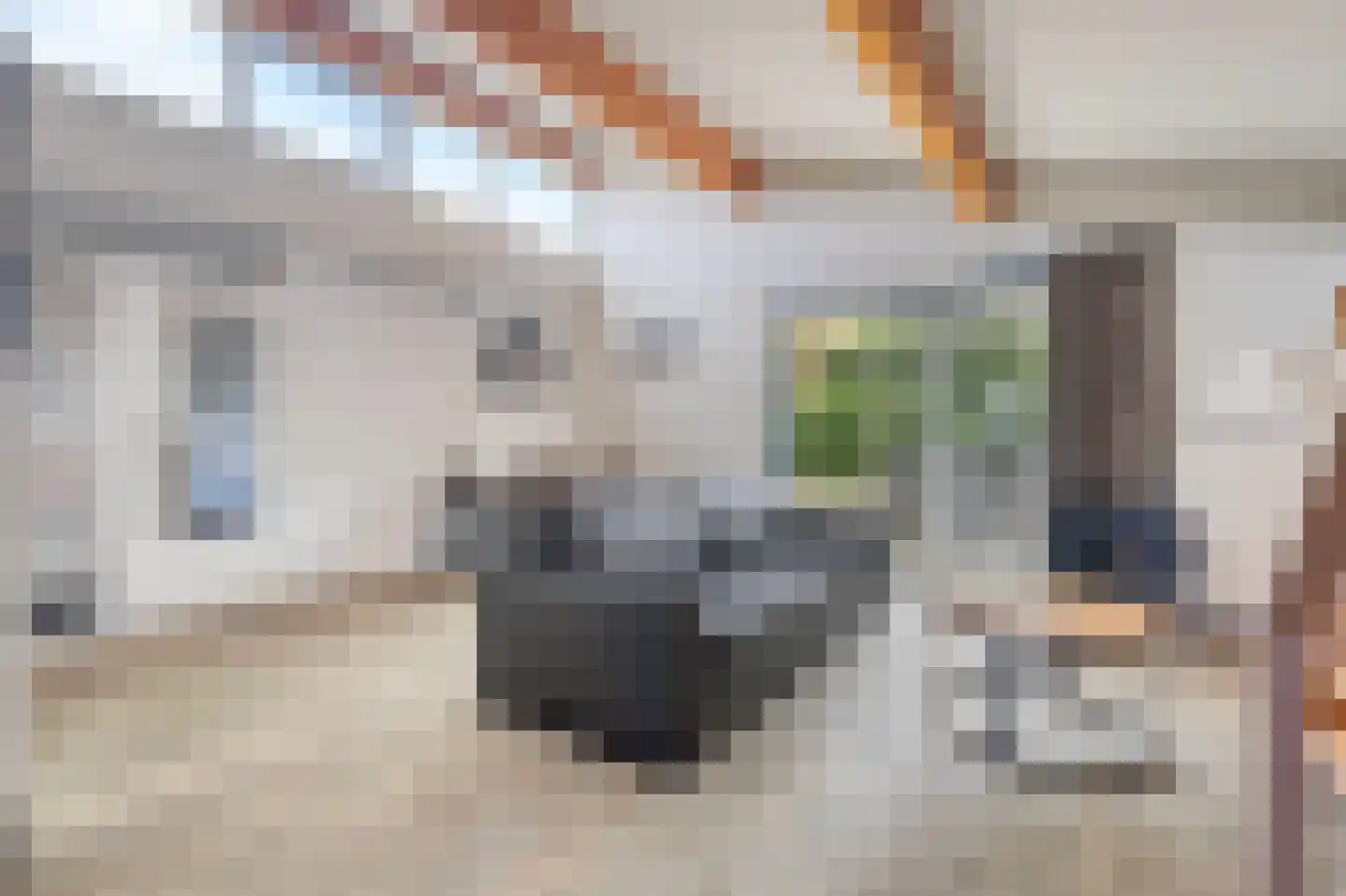 Ooghduyne 119 Julianadorp thumbnail 8