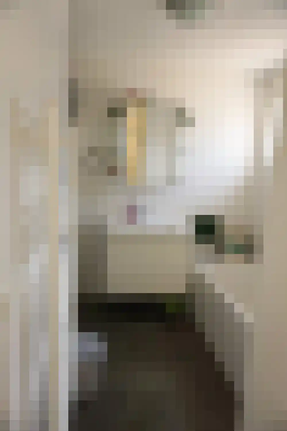 Ooghduyne 124 Julianadorp thumbnail 11