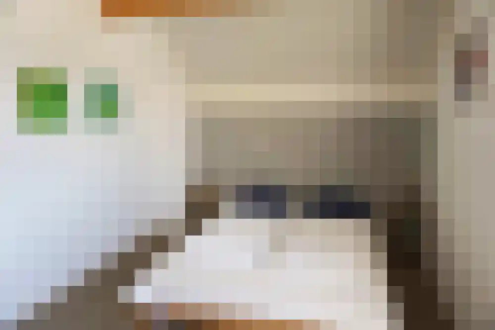 Ooghduyne 124 Julianadorp thumbnail 15