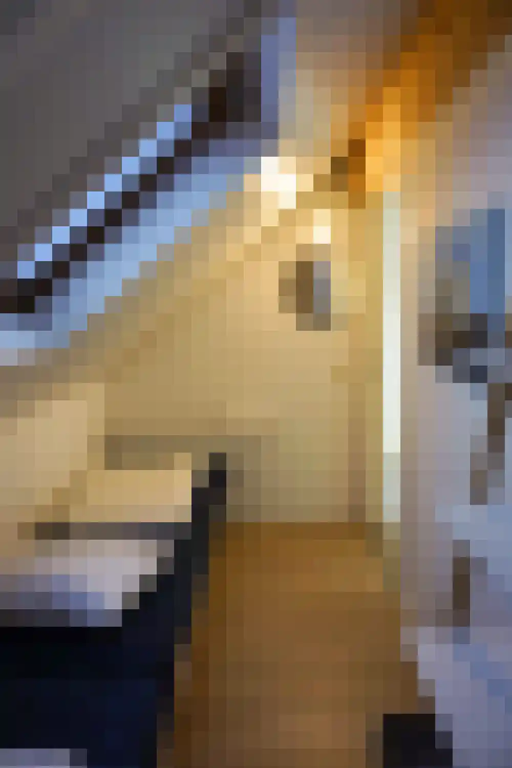Ooghduyne 124 Julianadorp thumbnail 20