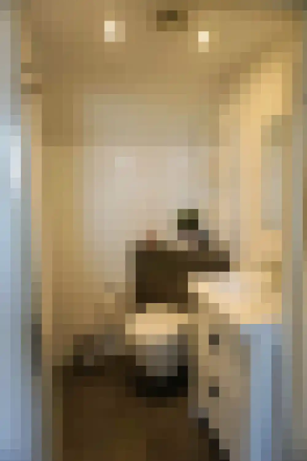 Ooghduyne 124 Julianadorp thumbnail 21