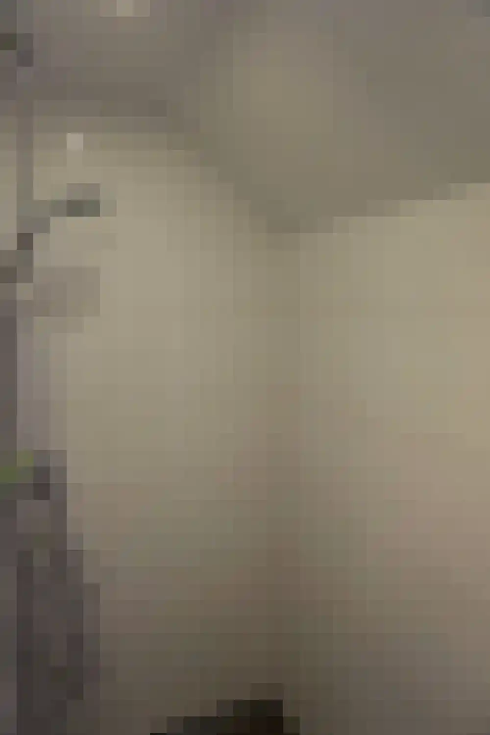 Ooghduyne 124 Julianadorp thumbnail 22