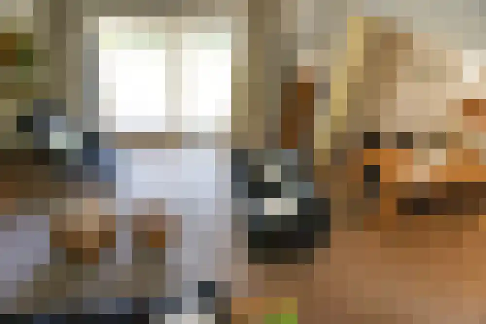 Ooghduyne 124 Julianadorp thumbnail 8