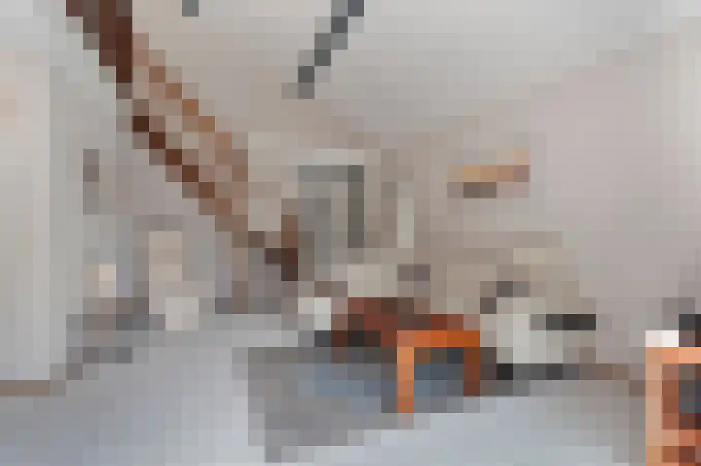 Ooghduyne 15 Julianadorp thumbnail 10