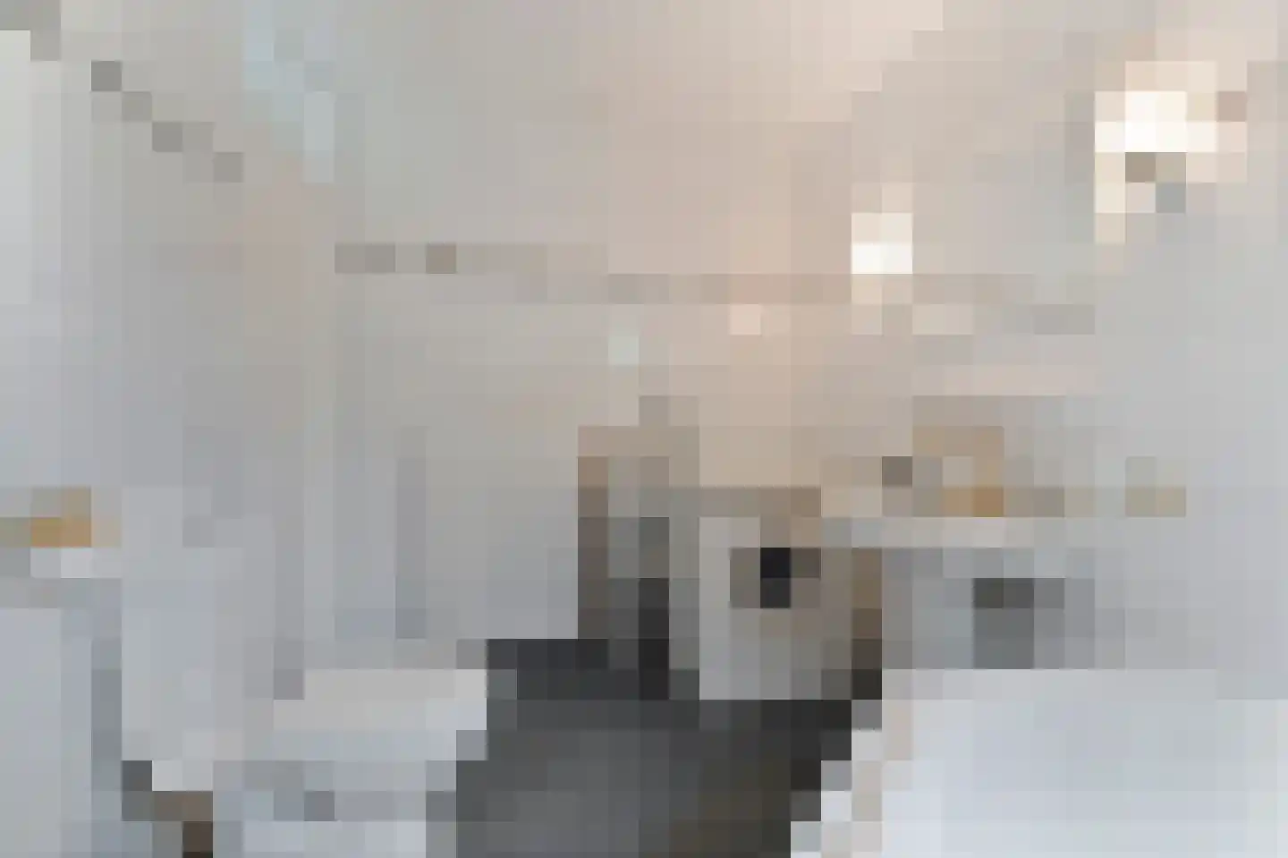 Ooghduyne 15 Julianadorp thumbnail 15