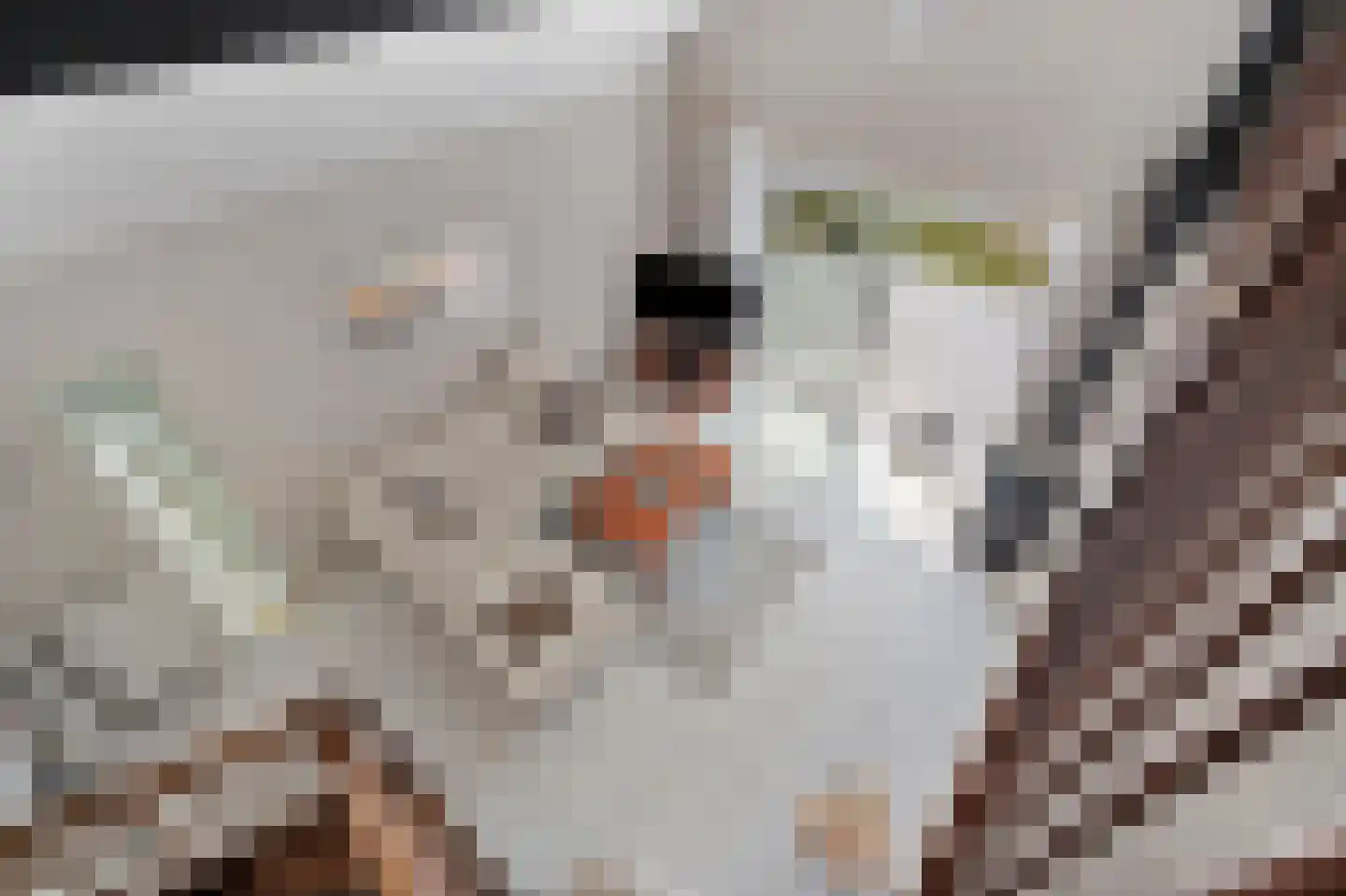 Ooghduyne 15 Julianadorp thumbnail 18