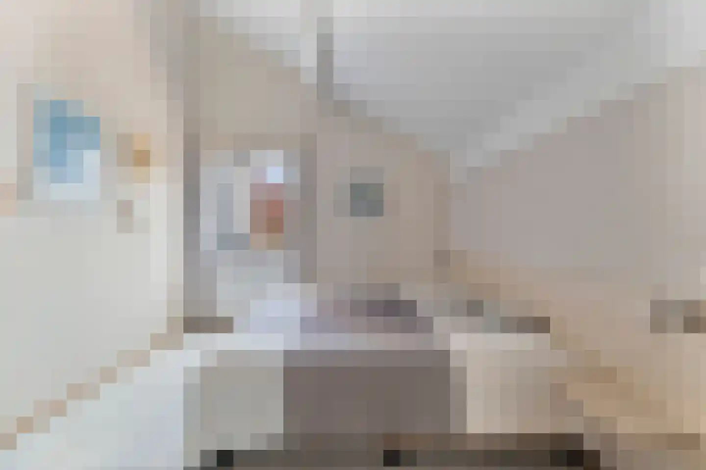 Ooghduyne 15 Julianadorp thumbnail 19