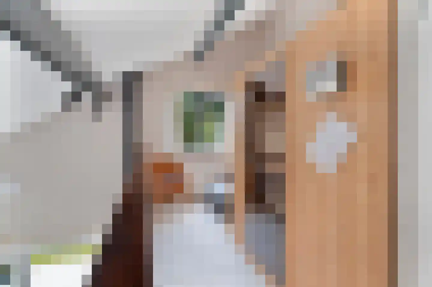 Ooghduyne 15 Julianadorp thumbnail 22