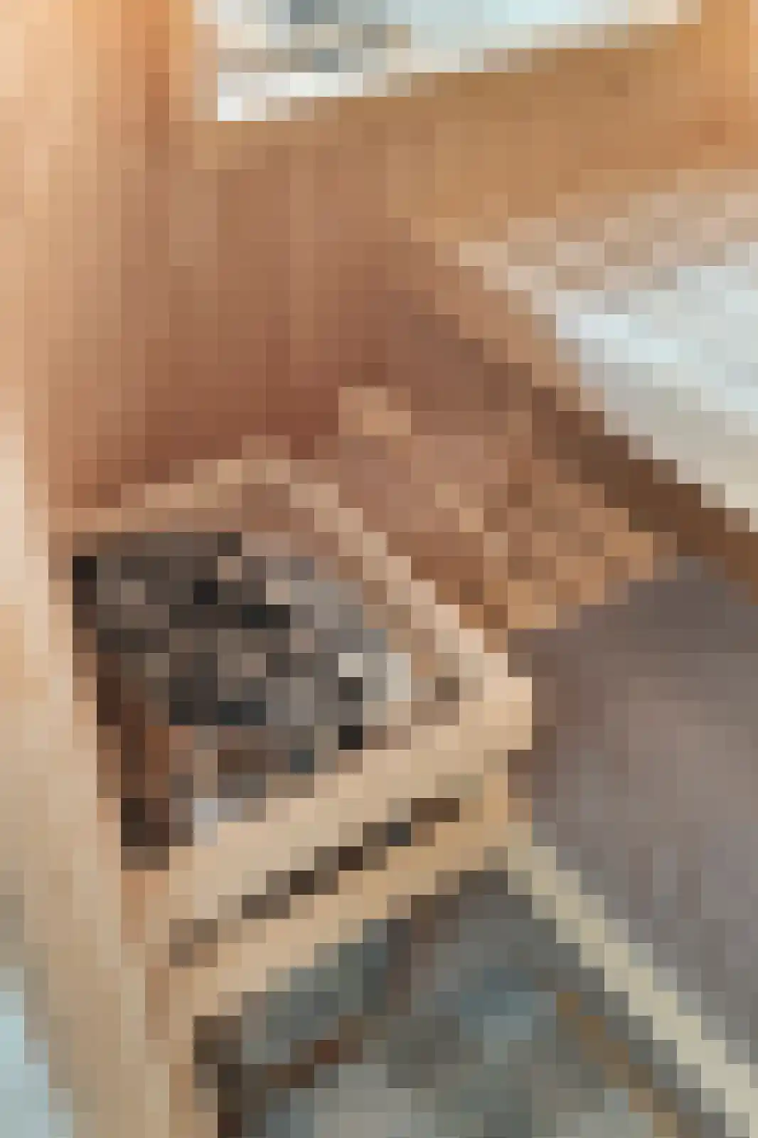 Ooghduyne 15 Julianadorp thumbnail 25