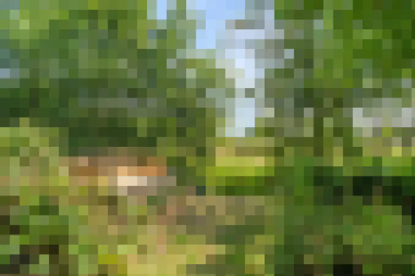Ooghduyne 15 Julianadorp thumbnail 28