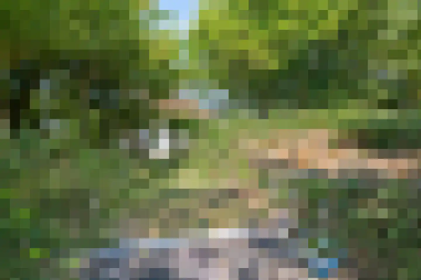 Ooghduyne 15 Julianadorp thumbnail 29