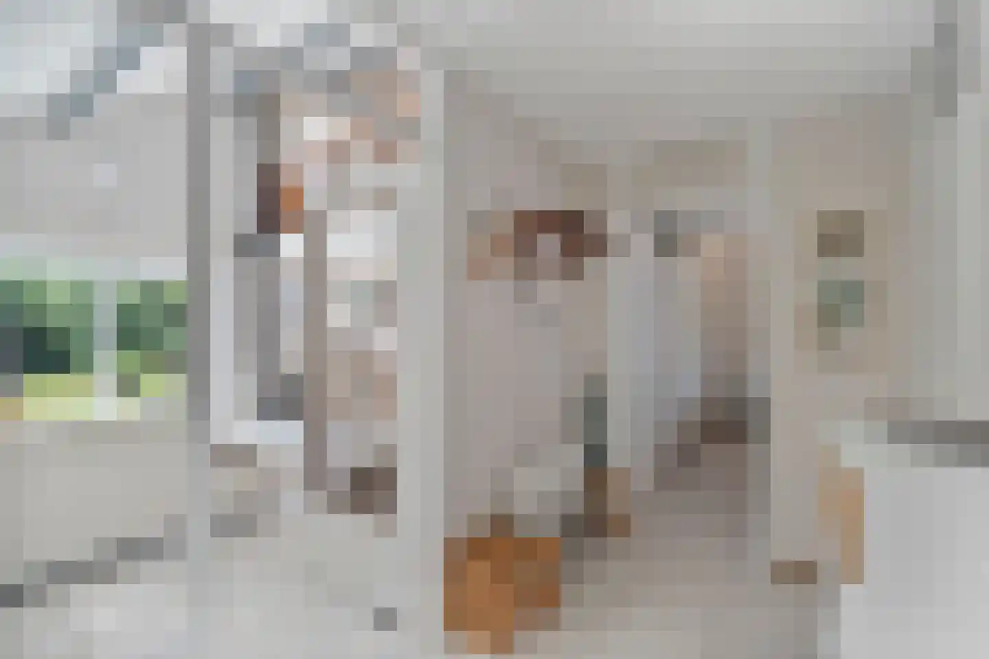 Ooghduyne 15 Julianadorp thumbnail 4