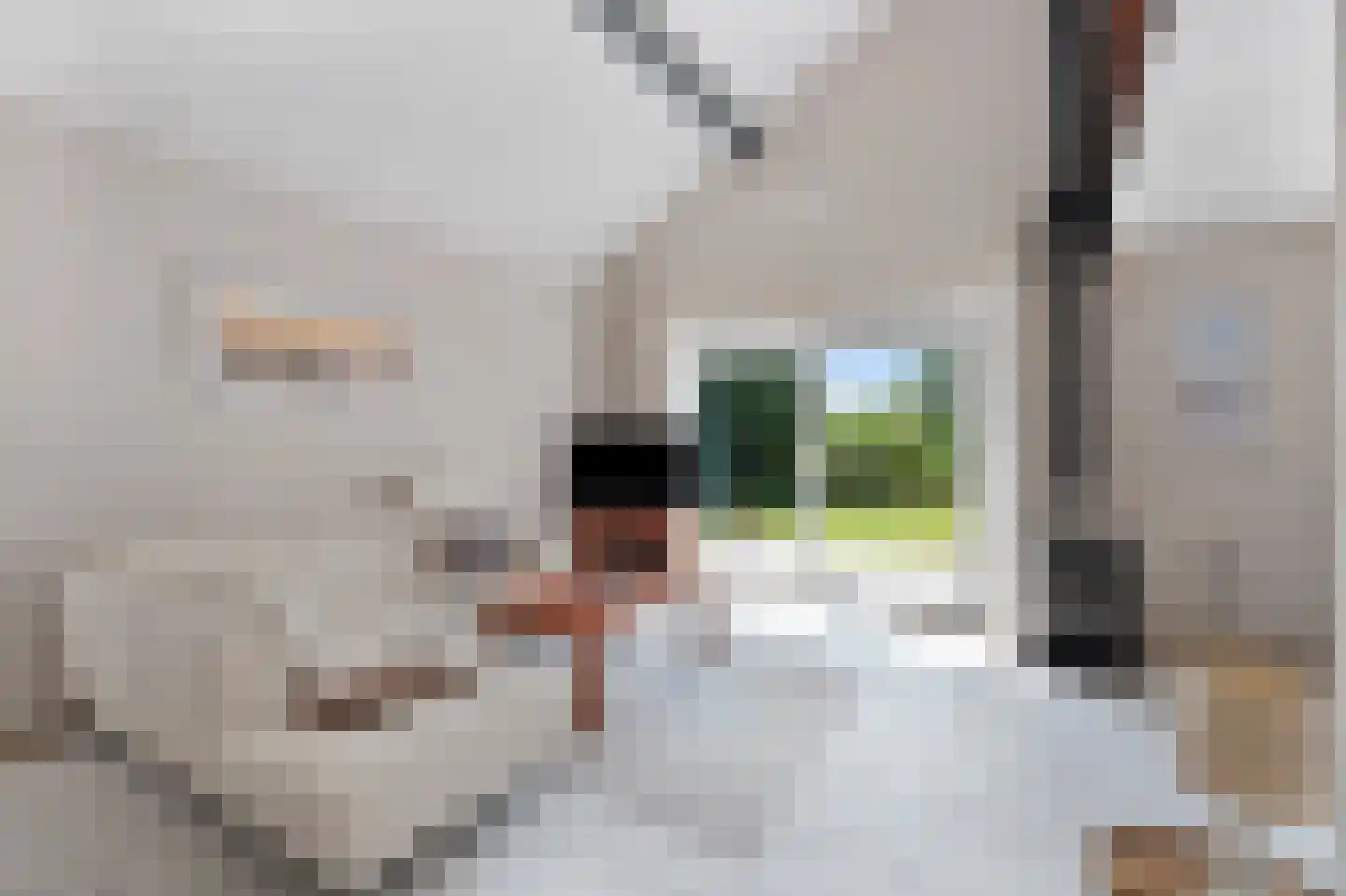 Ooghduyne 15 Julianadorp thumbnail 5