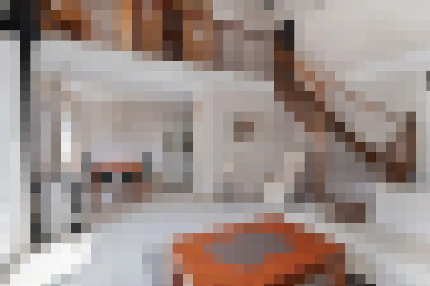 Ooghduyne 15 Julianadorp thumbnail 8