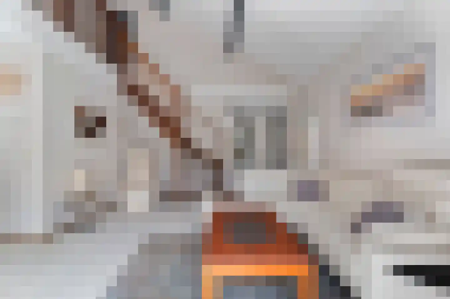 Ooghduyne 15 Julianadorp thumbnail 9